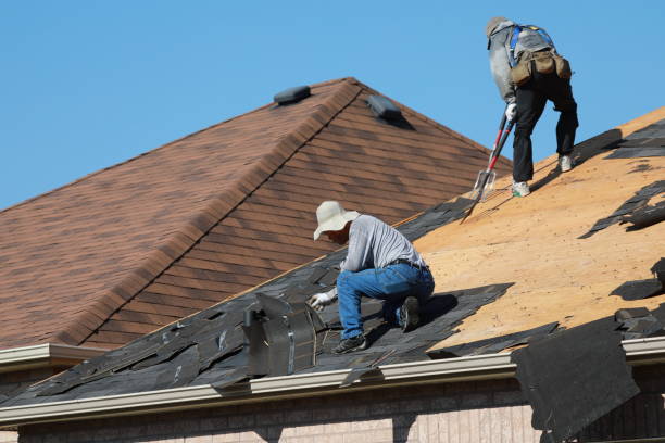 Best Skylight Installation and Repair  in Irwin, SC